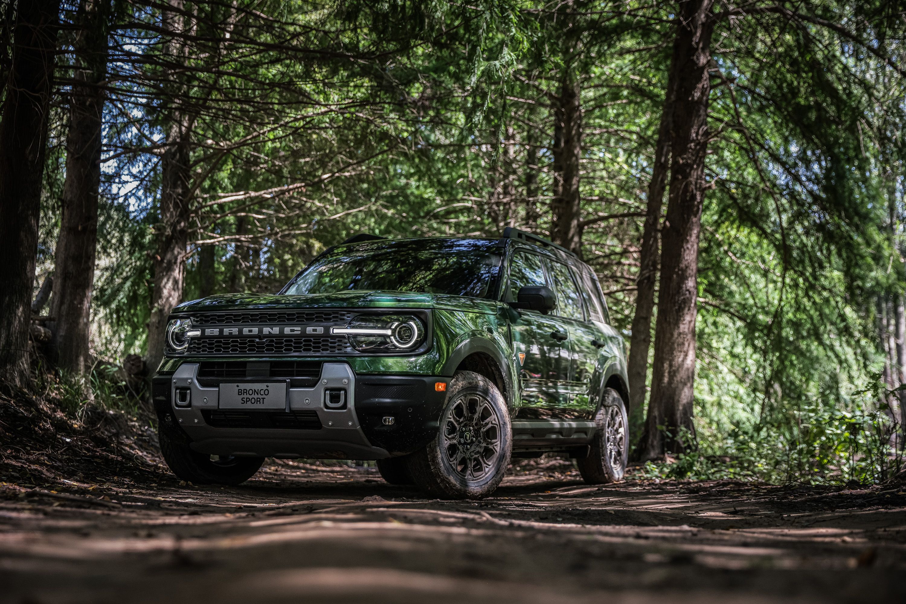 Sensores de estacionamiento delanteros