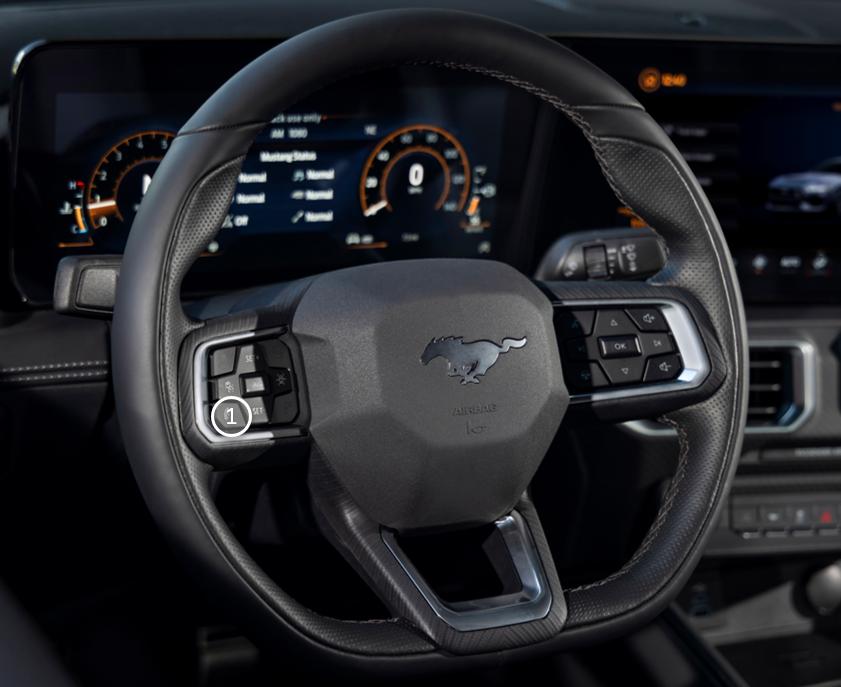 Limitador de Velocidad Inteligente / Reconocimiento de Señales de Tránsito